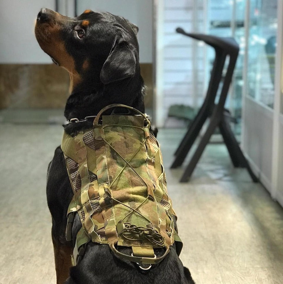 Multicam Dog Harness TMC Tactical Dog Harness Vest Multicam Medium
